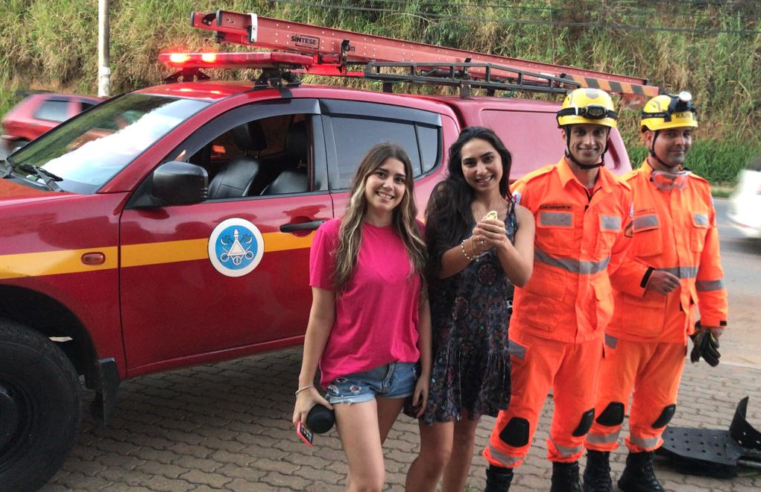 Viçosa: calopsita é resgatada após fugir pela janela