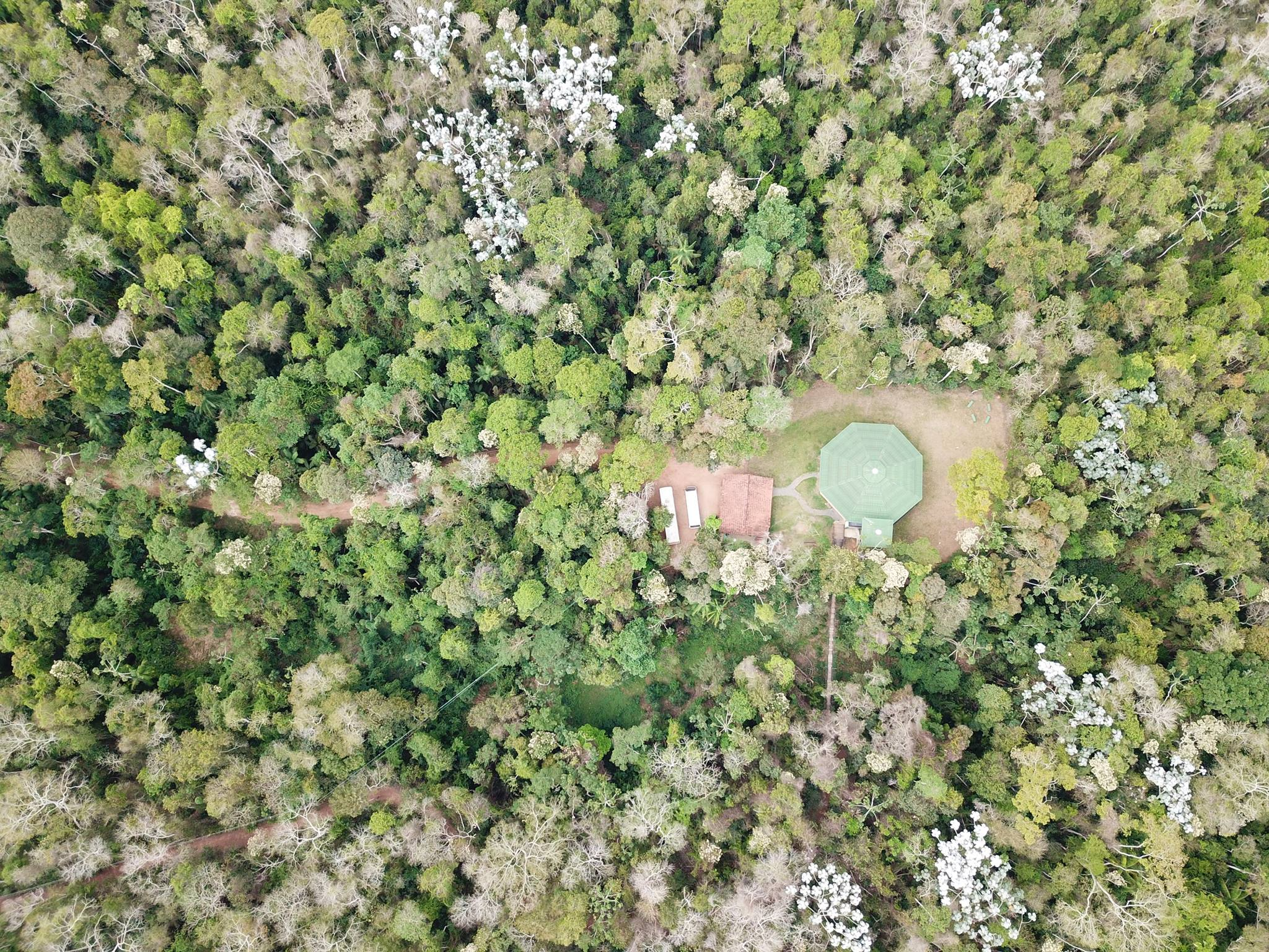 UFV promoverá visitas guiadas em comemoração ao Dia do Meio Ambiente
