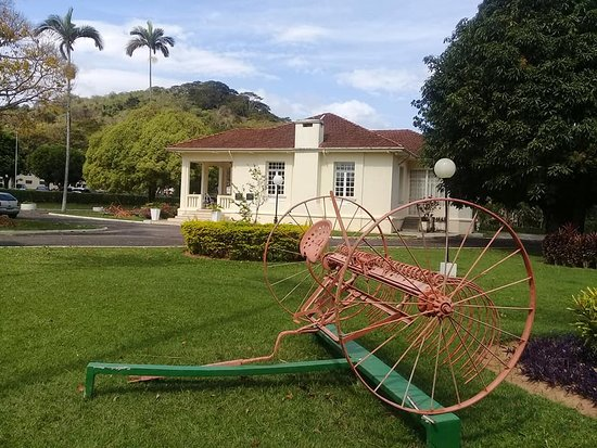 UFV prepara programação especial para a Semana Nacional de Museus