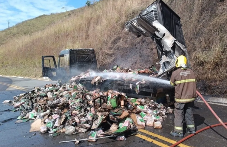 Caminhão carregado de carnes pega fogo na BR-356
