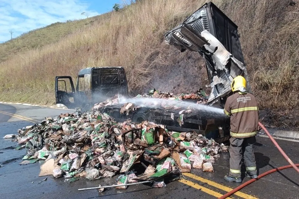 Caminhão carregado de carnes pega fogo na BR-356