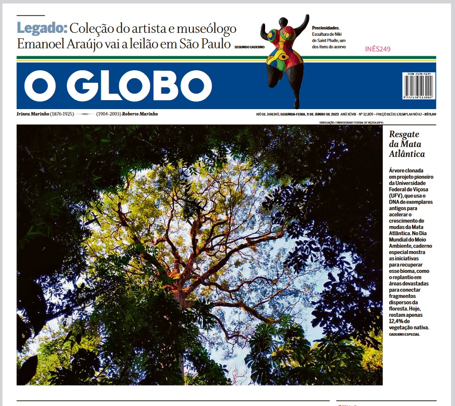 UFV na capa do Globo: Técnica de clonagem de mudas acelera reflorestamento da Mata Atlântica