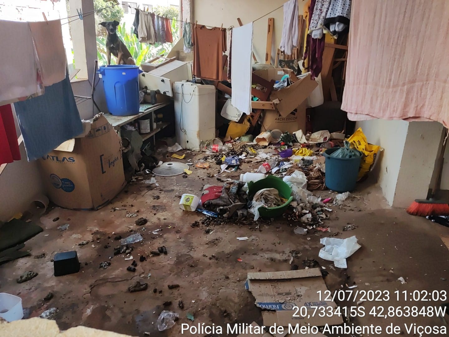 PM de Meio Ambiente resgata animais vítimas de maus-tratos e prende idosa em Viçosa