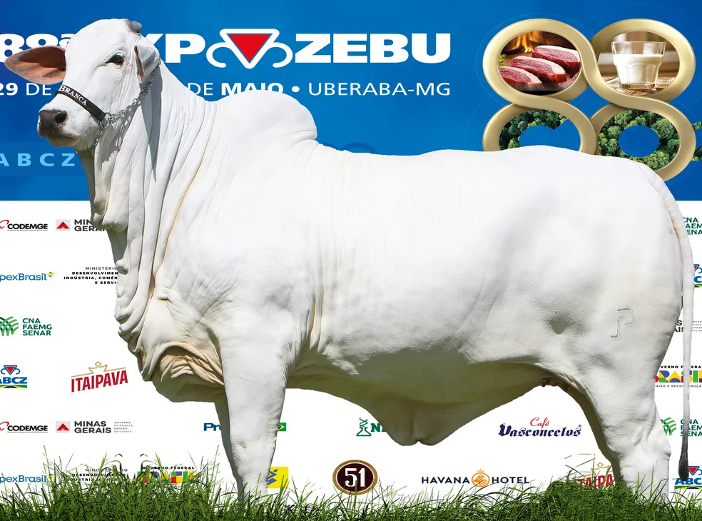 Curiosidade: você conhece as cinco vacas mais caras do Brasil?