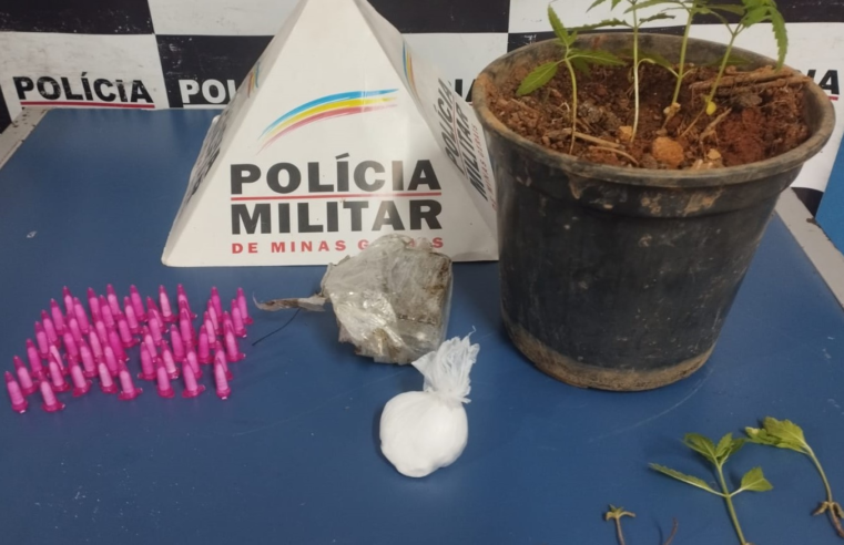 Ponte Nova: polícia apreende plantação de maconha e outras drogas em residência