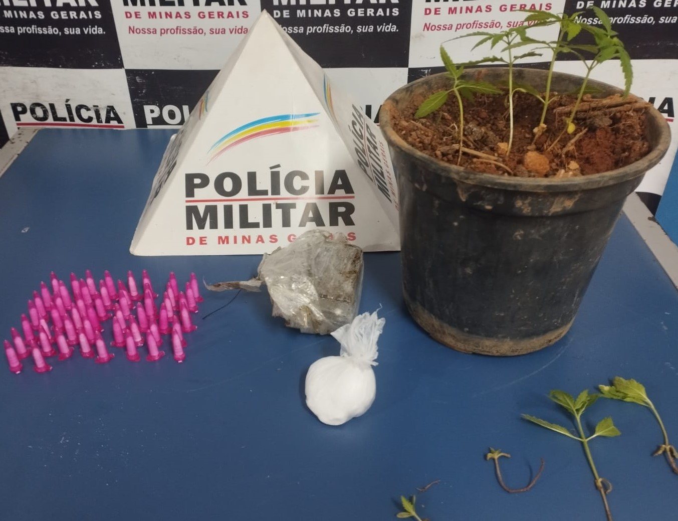 Ponte Nova: polícia apreende plantação de maconha e outras drogas em residência