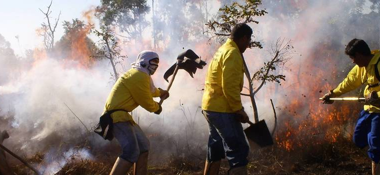 Minas investe em ações de prevenção para combater incêndios florestais