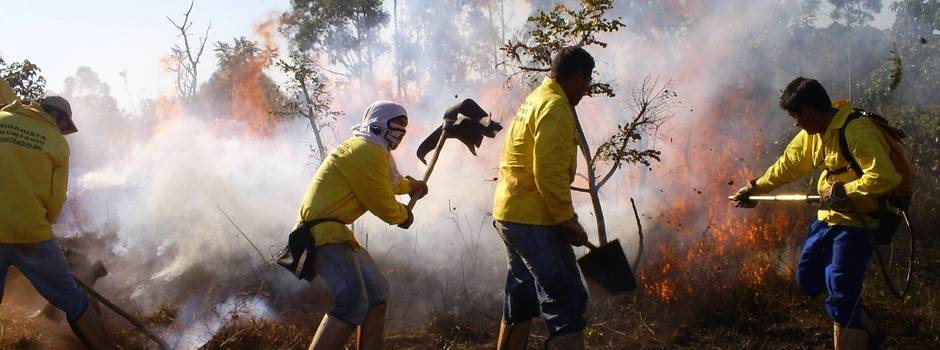 Minas investe em ações de prevenção para combater incêndios florestais