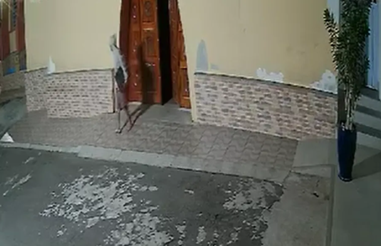 Minas: ladrão invade igreja e sai com mesa de som debaixo de braço; VEJA VÍDEO