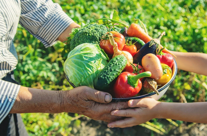Governo de Minas ganha prêmio com projeto que visa compra de alimentos da agricultura familiar