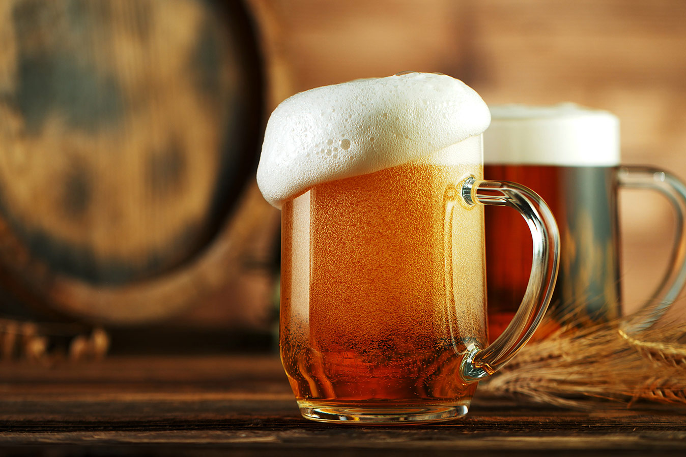 Reunião na Prefeitura de Viçosa discute ramo cervejeiro na cidade