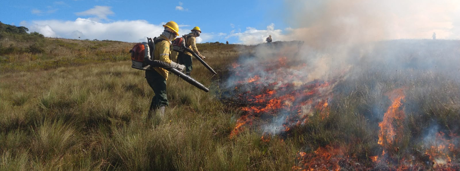 Onda de calor em Minas pode aumentar o risco de incêndios florestais
