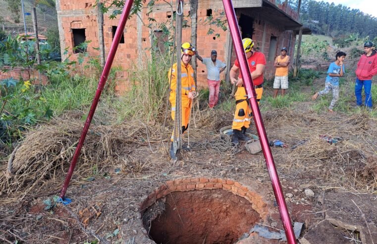 Corpo de Bombeiros salva vaca prenha de cisterna de 8 metros