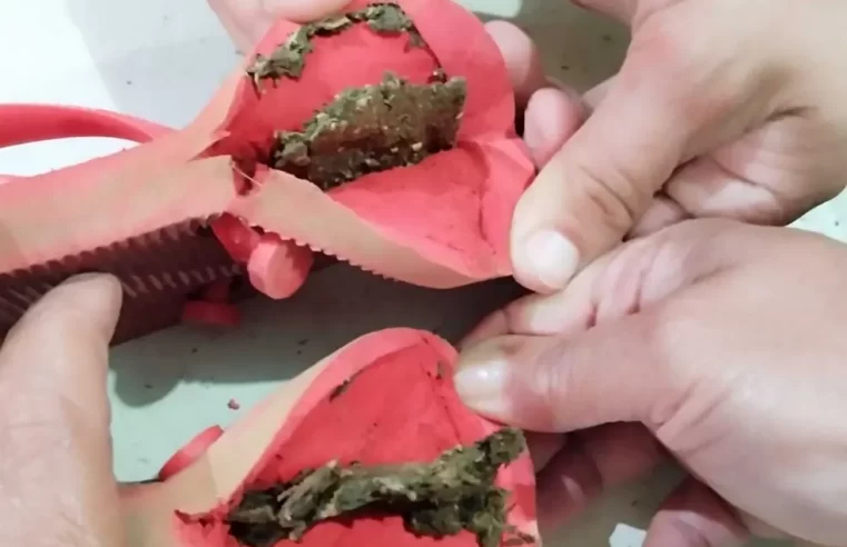 Região: Mulher tenta entrar em presídio com drogas Escondidas no chinelo