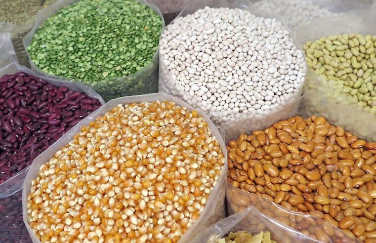Pesquisa avalia impacto das mudanças climáticas no futuro da agricultura da América do Sul