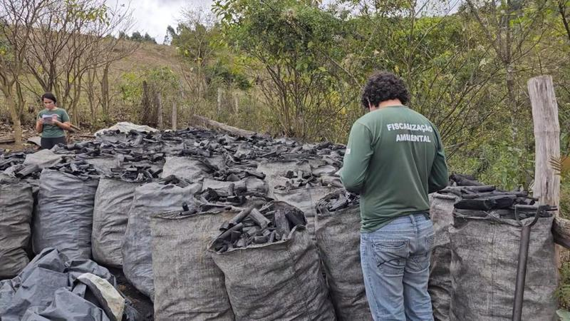 A cada hora, uma fiscalização contra o desmatamento ilegal é feita em Minas Gerais 