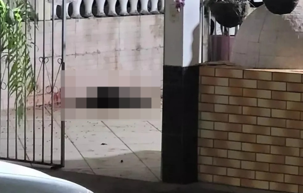 Dois cães morrem após ataque de abelhas em Santos Dumont