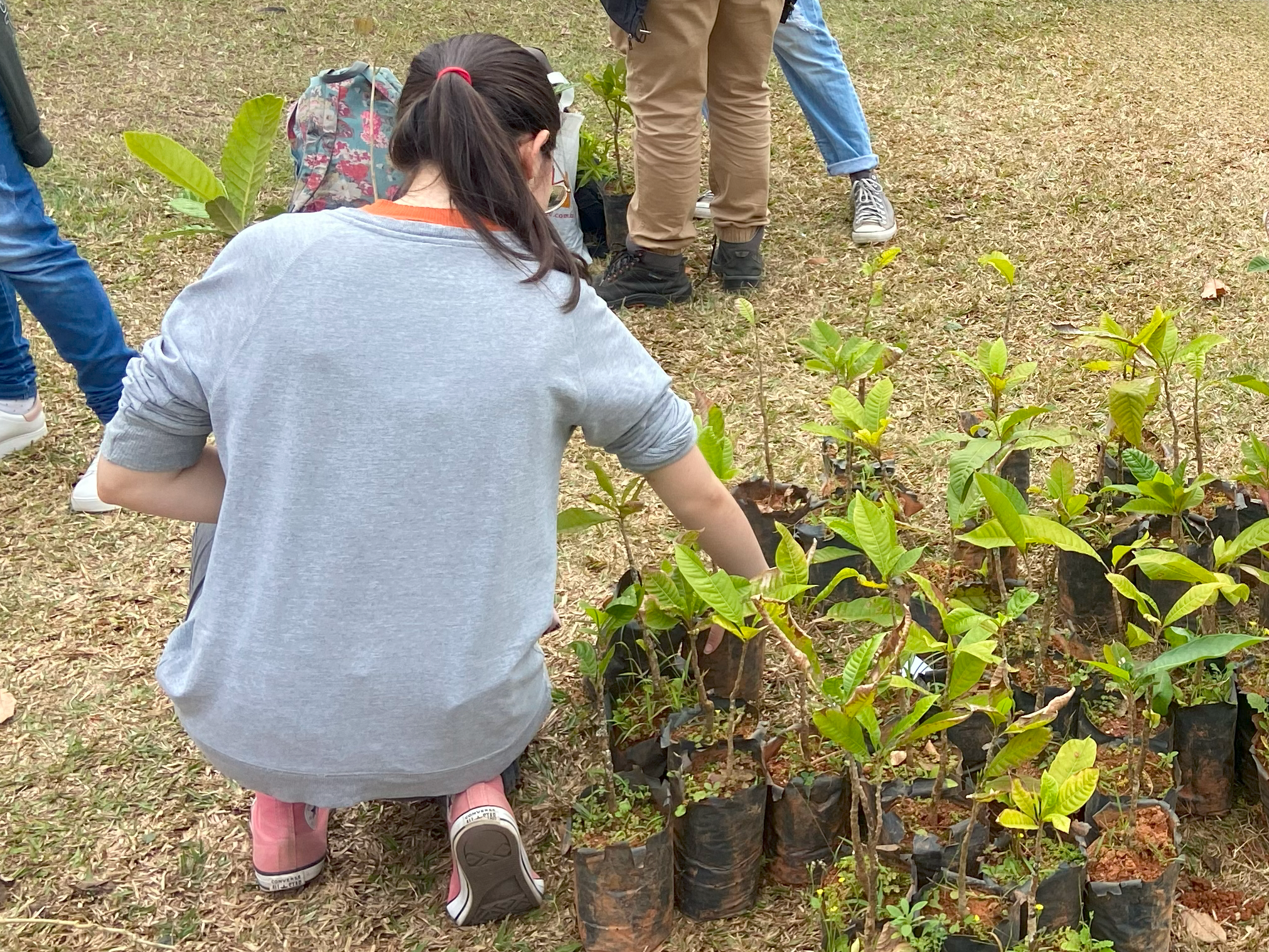 ‘UFV+Sustentável’ oferece programação especial nesta semana