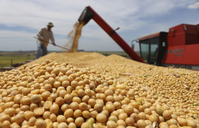 Exportações do agro mineiro atingem cerca de US$ 9,5 bilhões de janeiro a agosto