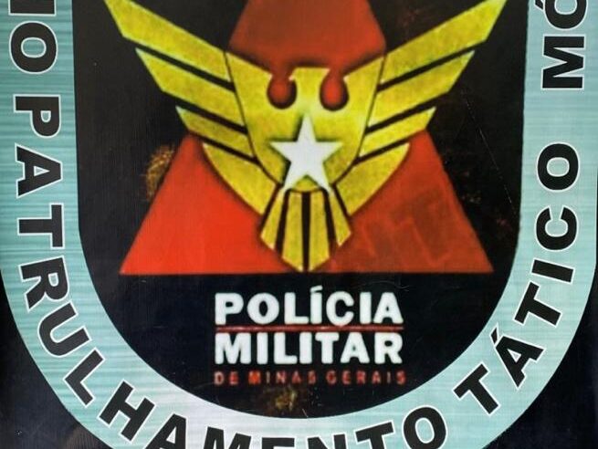 Mulher é presa por posse ilegal de arma de fogo em Viçosa