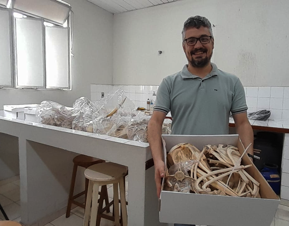 Museu de Zoologia da UFV recebe esqueletos de golfinhos e botos