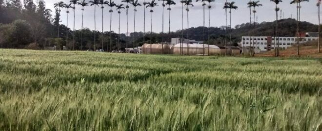 Lista Forbes das 100 Doutoras do Agro tem doze mulheres com UFV no currículo