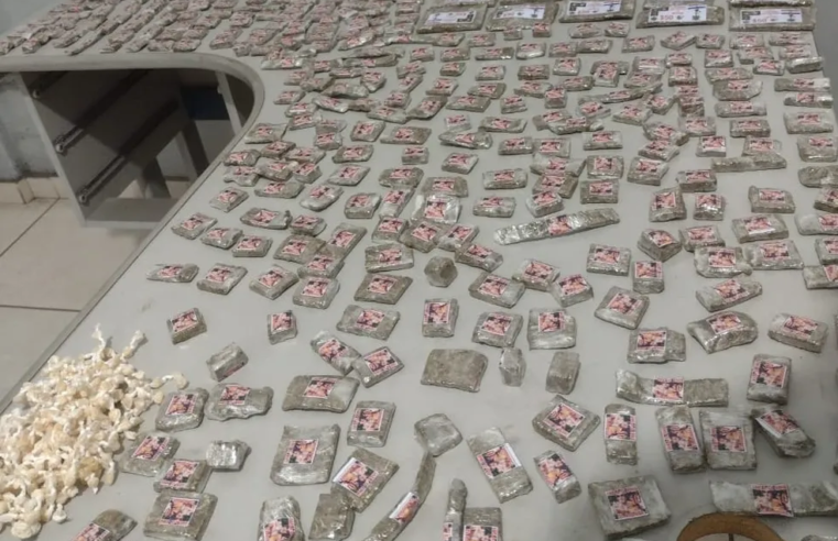 PMMG apreende mais de 500 tabletes de maconha e 300 pedras de crack