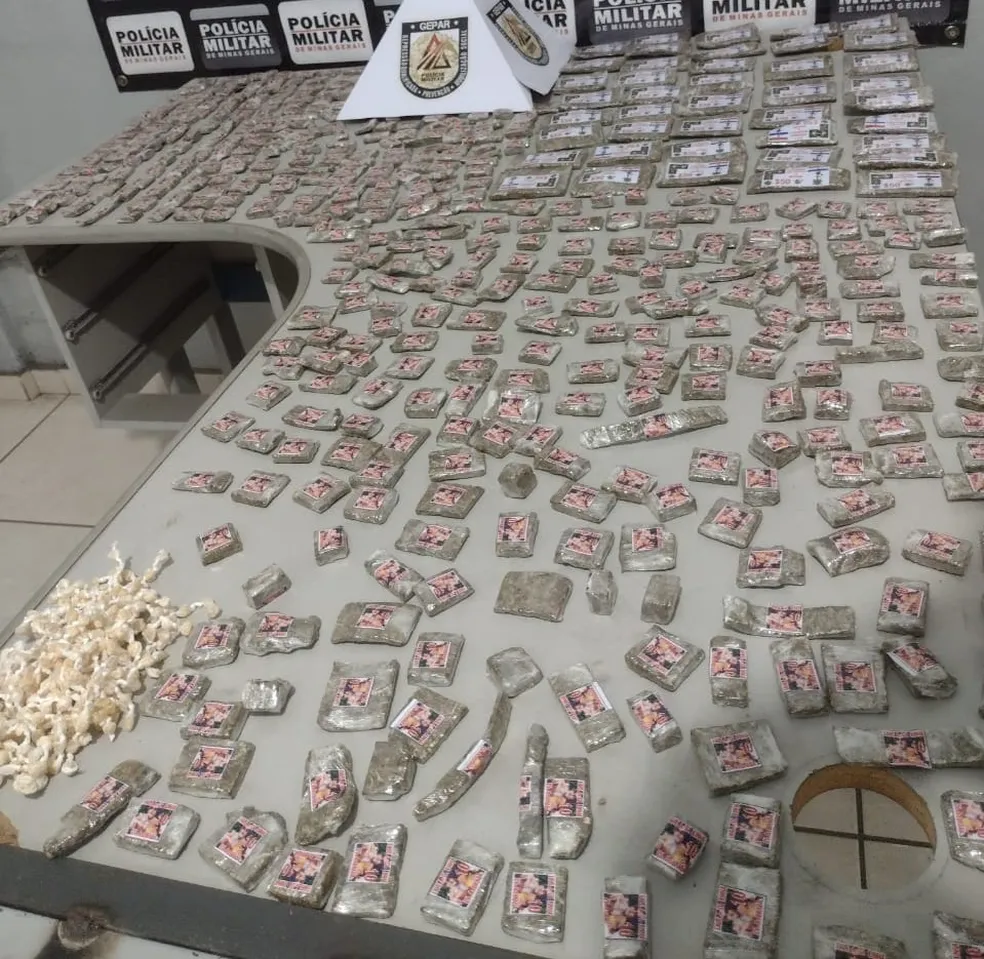 PMMG apreende mais de 500 tabletes de maconha e 300 pedras de crack