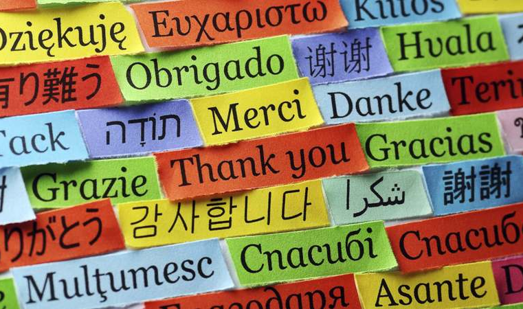 Grupo seleciona estudantes da UFV para atuar em pesquisa sobre tradução do inglês