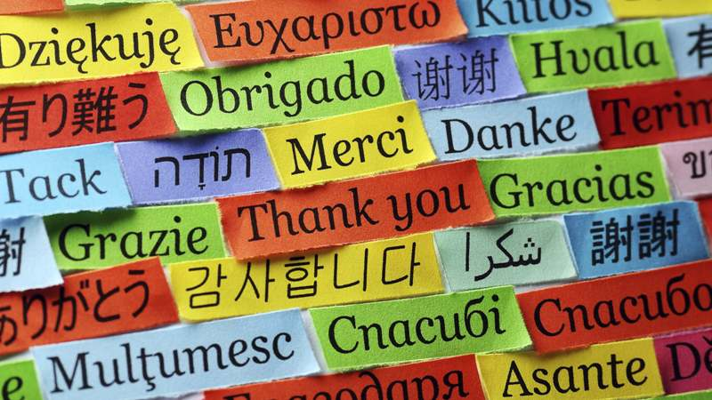 Grupo seleciona estudantes da UFV para atuar em pesquisa sobre tradução do inglês