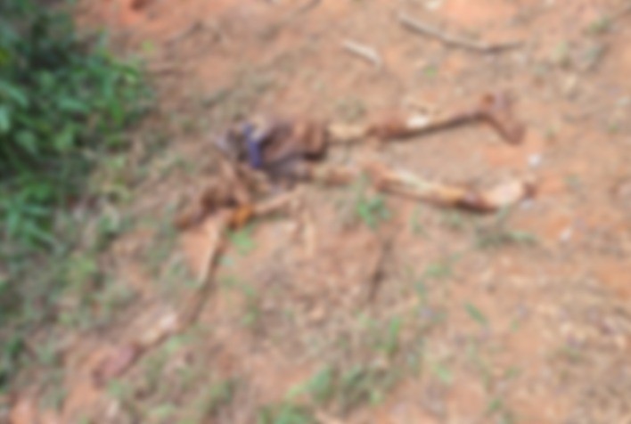 Polícia detalha a descoberta de ossada humana no Bela Vista, em Viçosa