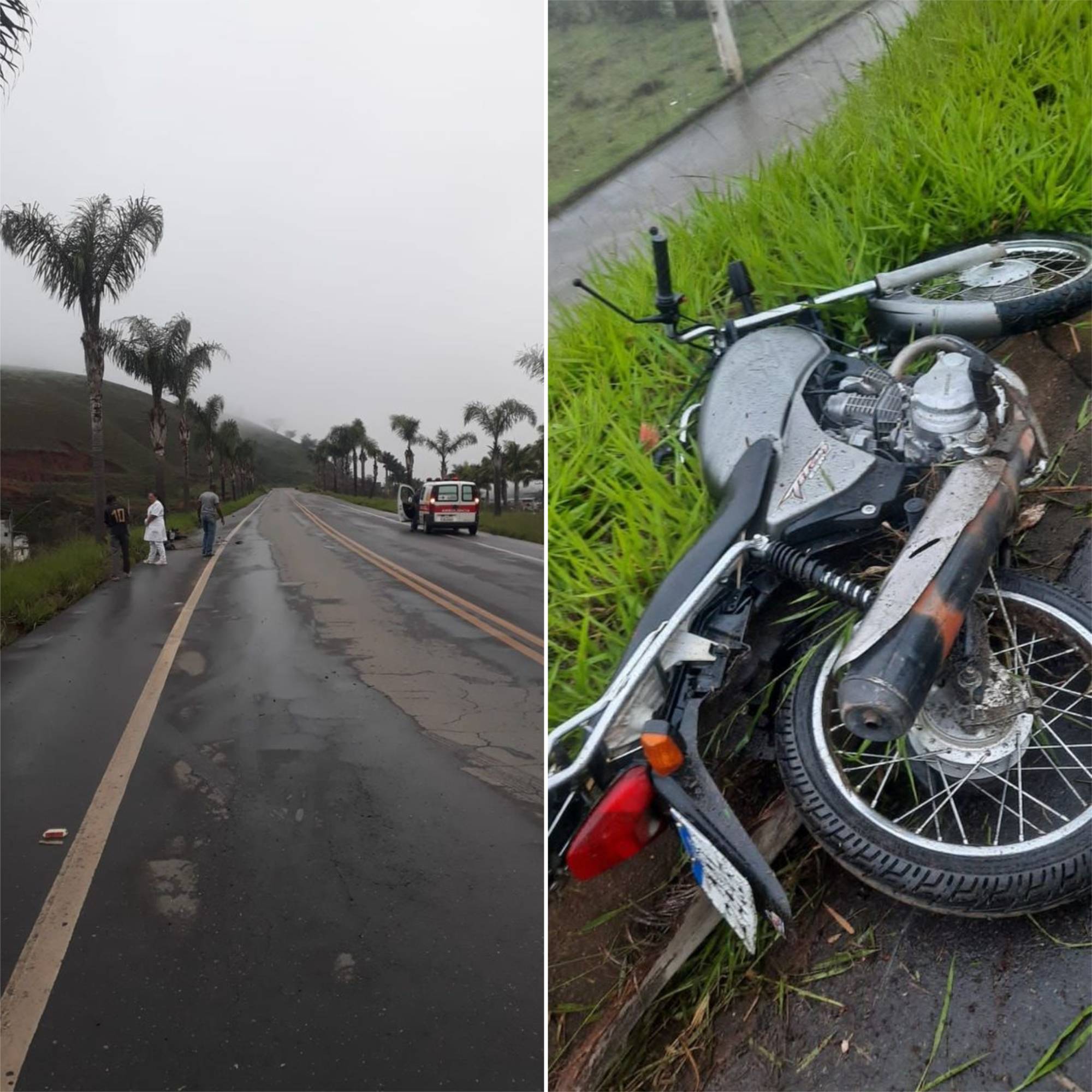 Motociclista morreu após colidir em arvore em Coimbra
