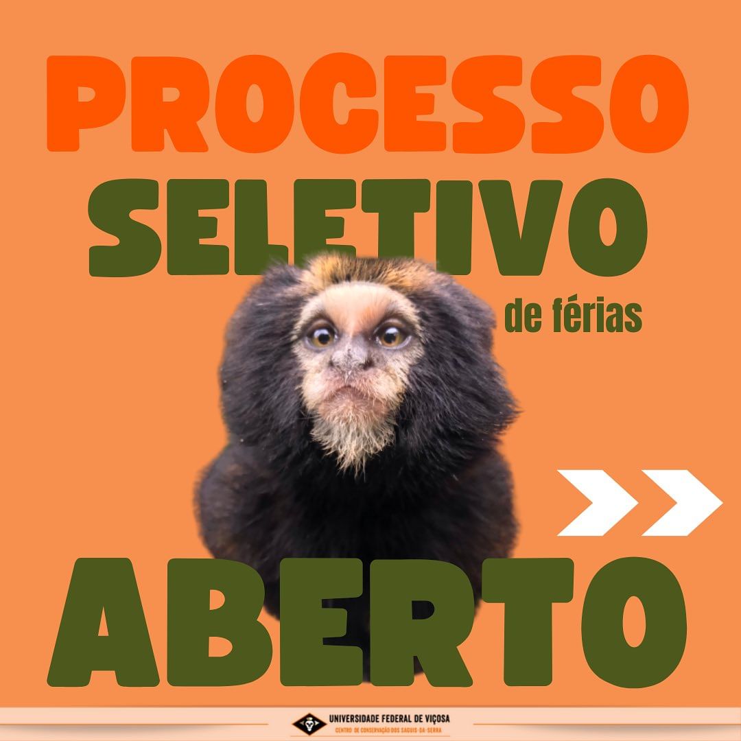 UFV: Centro de Conservação dos Saguis-da-Serra seleciona estagiários