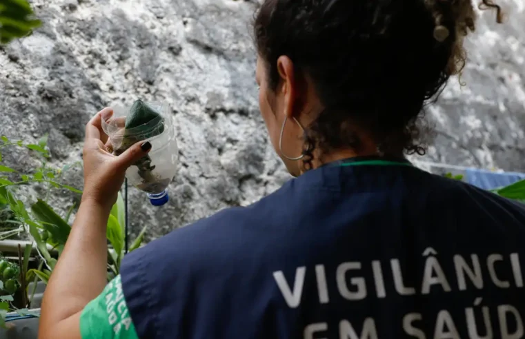 Saúde abre consulta pública sobre inclusão de vacina da dengue no SUS