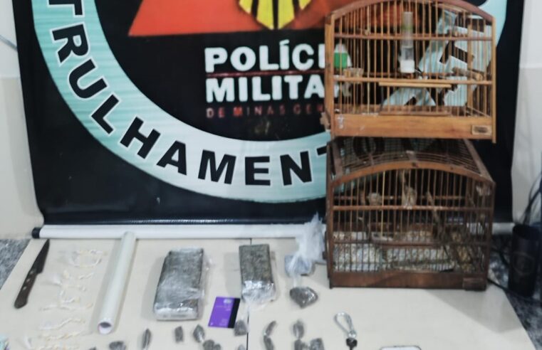 Dois homens presos por tráfico de drogas na Barrinha em Viçosa