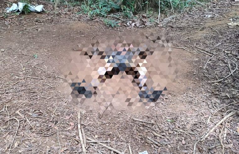 Corpo em decomposição é encontrado na zona rural entre Paula Cândido e Airões