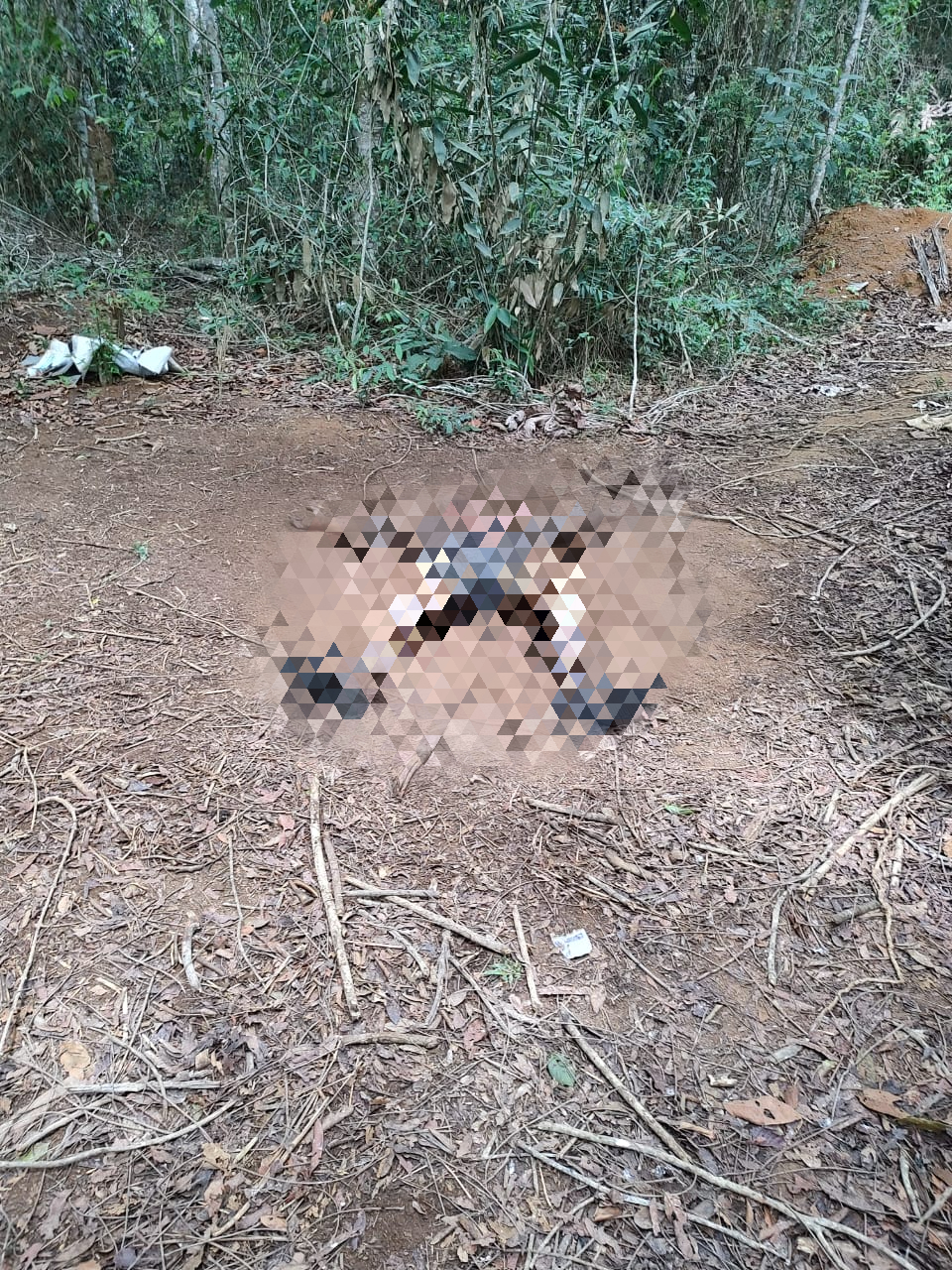 Corpo em decomposição é encontrado na zona rural entre Paula Cândido e Airões
