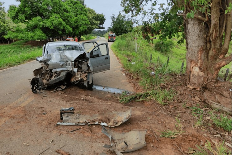 Grave Acidente na MGC-265: Motorista colide com árvore