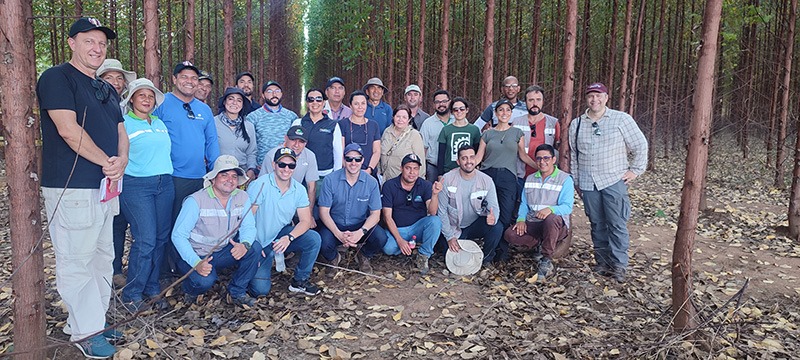 UFV elabora zoneamento para implantação de florestas na Colômbia