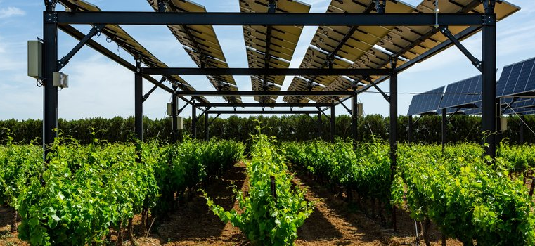 Projeto sobre uso de energia solar na agricultura avança em Minas Gerais
