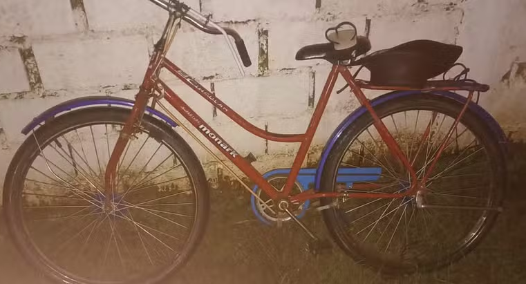 Ciclista de 71 anos morre após ser atropelado na BR-356