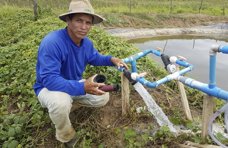 Minas Gerais se torna o maior produtor de algodão do país