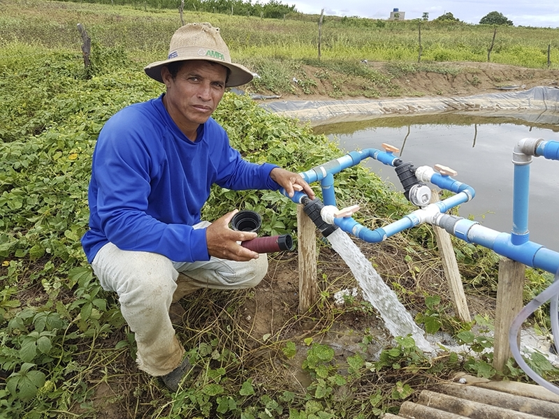 Minas Gerais se torna o maior produtor de algodão do país