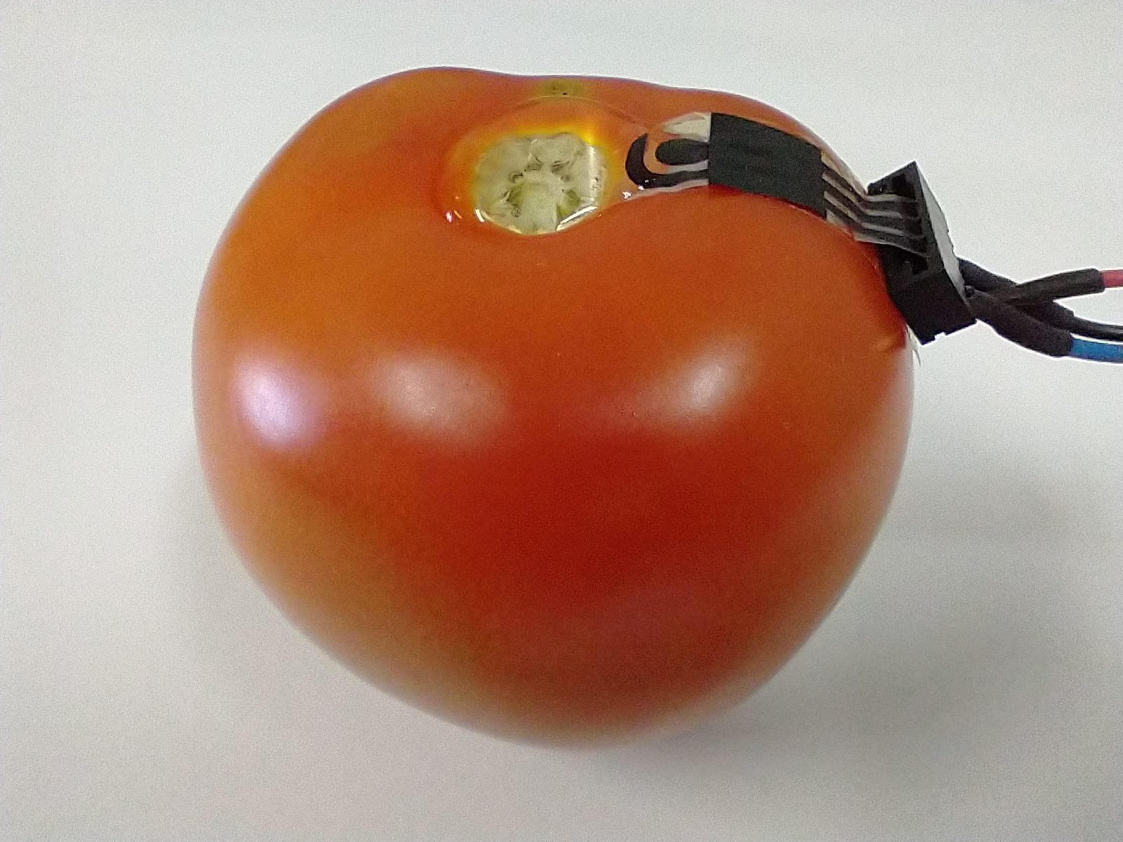 Equipe da UFV participa de pesquisa sobre sensor biodegradável que detecta pesticidas