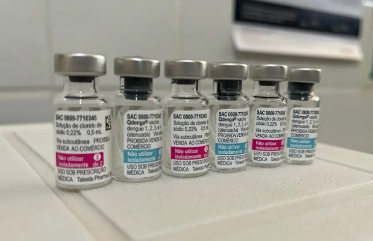 Veja o que foi divulgado até agora sobre a vacina contra a dengue no SUS