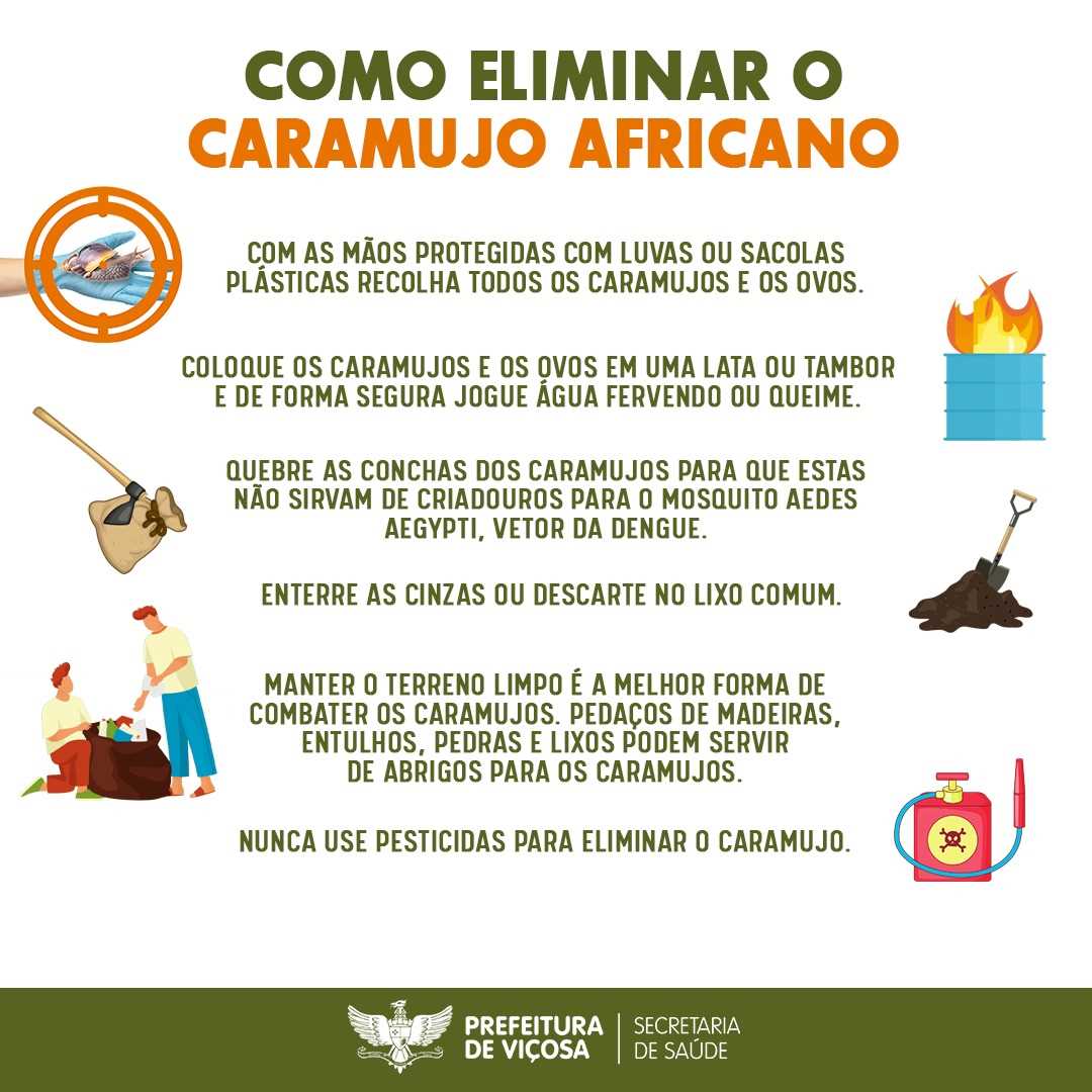 Prefeitura lança campanha para combater caramujos africanos