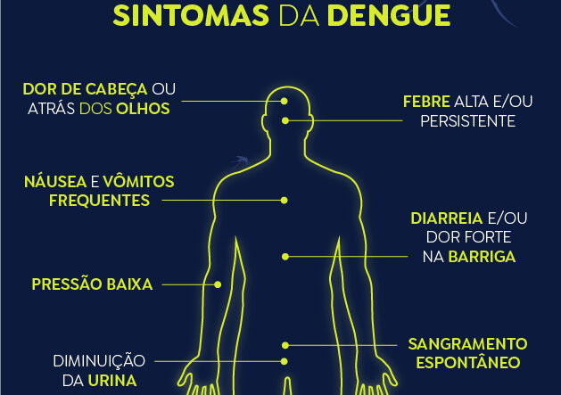 Brasil registra 12 mortes e 120 mil casos prováveis de dengue