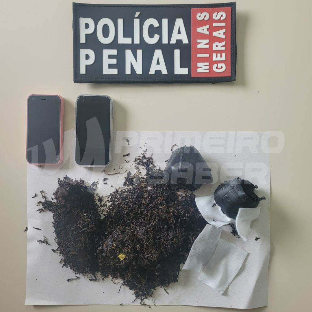 Mulher é detida ao tentar entrar com celular e fumo no Presídio de Viçosa