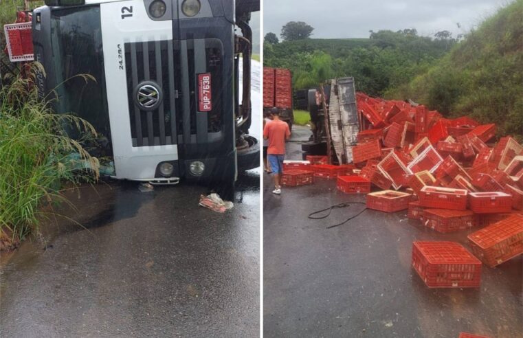 Caminhão carregado com frangos tomba no trevo da reciclagem em Viçosa