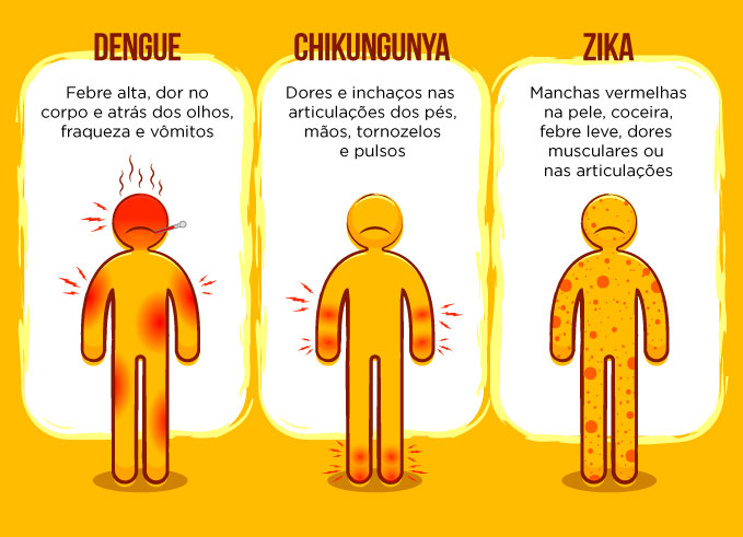 Dengue, chikungunya e zika: saiba diferenciar sintomas